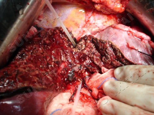 关于为民服务中心暂停管理业务的通告_JDB电子(图4) JDB电子