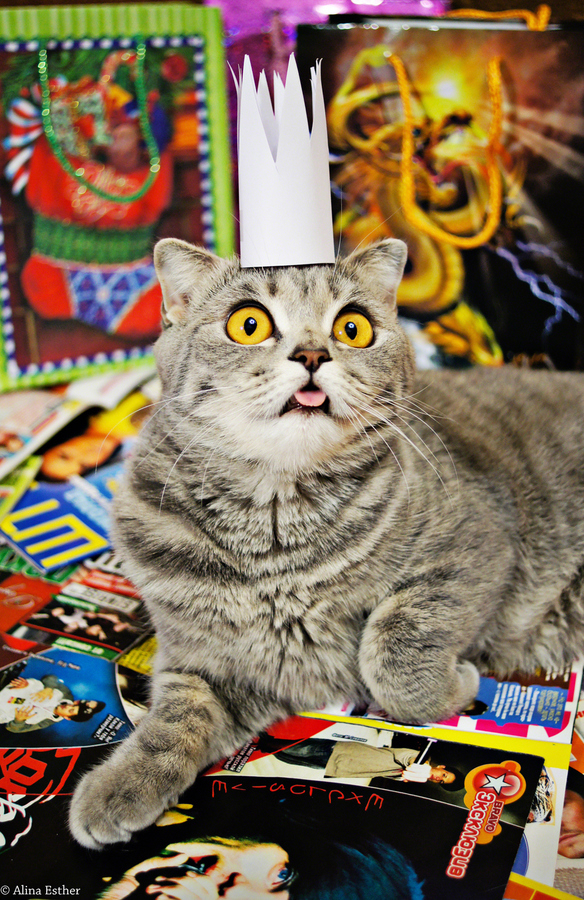 关于为民服务中心暂停管理业务的通告_JDB电子(图3) JDB电子