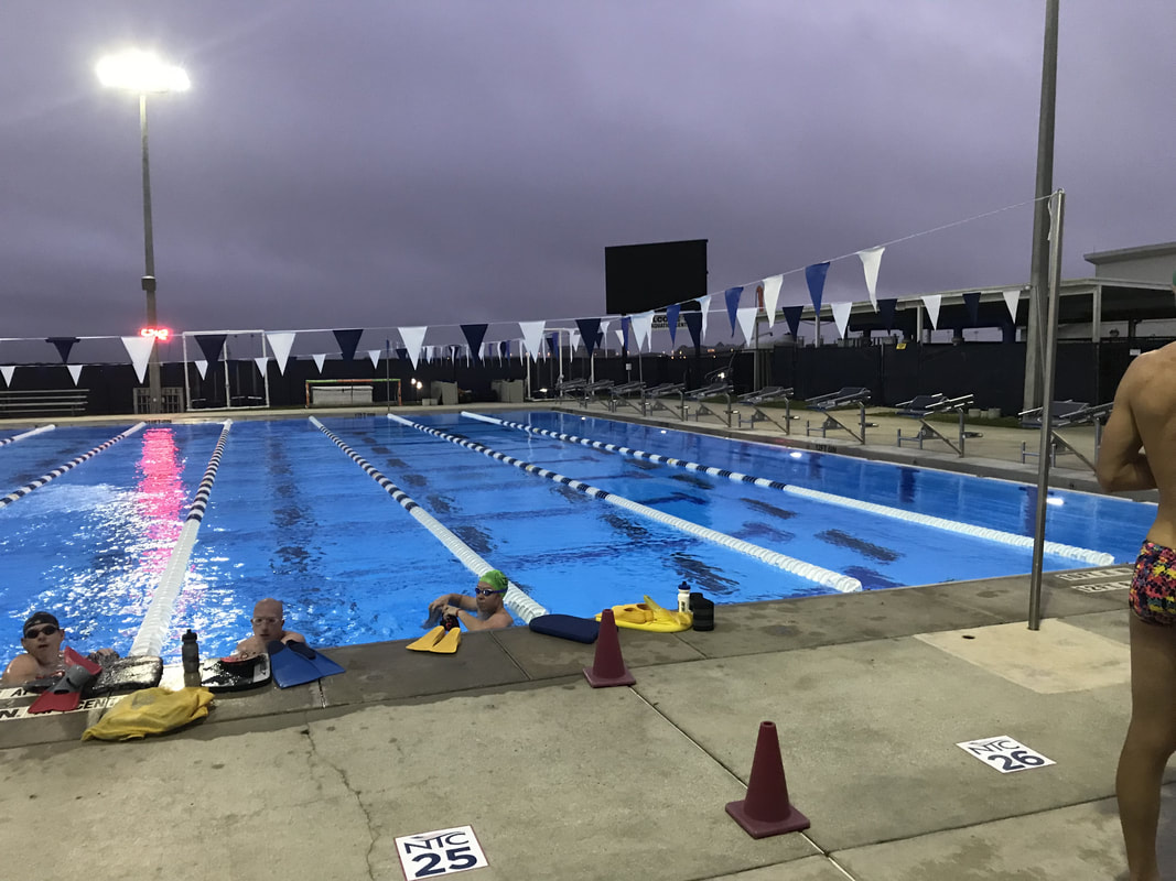 JDB电子试玩网页版|一年了,这个大洲成立的自贸区怎样了?(图2) JDB电子试玩网页版