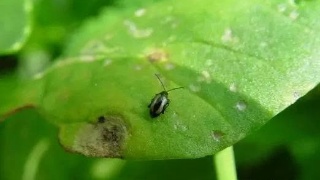 安徽合肥今日日降雨量位列历史第一|JDB电子游戏官网(图1) JDB电子游戏官网