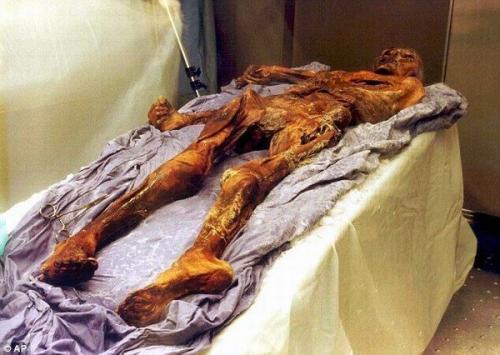 死亡超14万,佩洛西称“特朗普病毒”正在残害美国|JDB电子游戏官网(图1) JDB电子试玩网页版