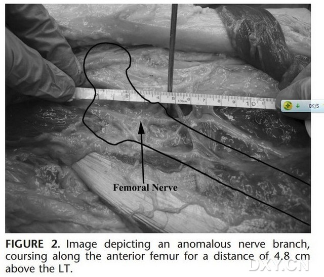 JDB电子试玩网页版