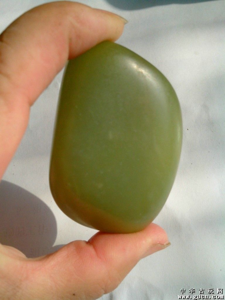 JDB电子:发财树养殖方法和注意事项(图2) JDB电子试玩网页版