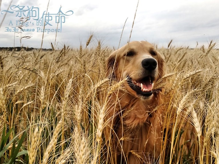 JDB电子游戏官网