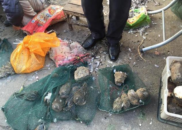 JDB电子游戏官网