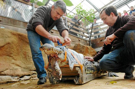 ‘JDB电子试玩网页版’北京夜查货车尾气排放 今年将重点监管“重型车”(图2) JDB电子