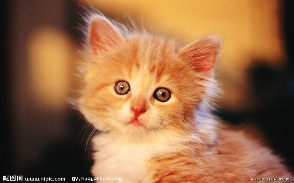 JDB电子试玩网页版|后湖大道附近装修公司有哪些?(图2) JDB电子试玩网页版