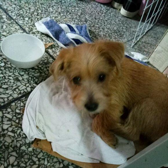 JDB电子游戏官网