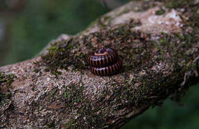 JDB电子游戏官网