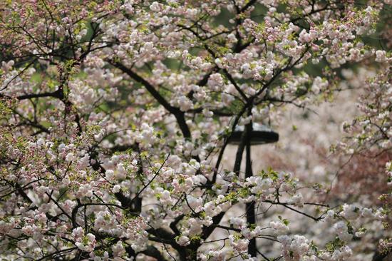 JDB电子试玩网页版