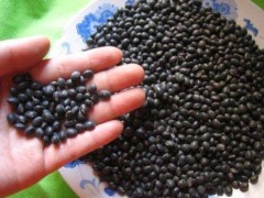 JDB电子游戏官网